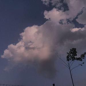 有栖花绯 《催眠微课堂》
