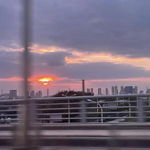 有栖花绯 《催眠微课堂》
