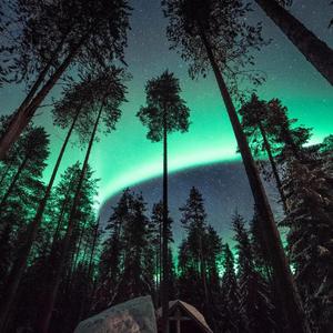 有栖花绯 《催眠微课堂》
